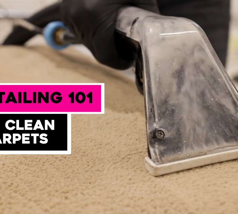 A professional detailer cleaning car carpets with an industrial shampoo cleaner.